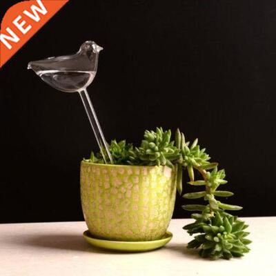 Self Watering Globes Plant Waterer Hand Blown Clear Glass