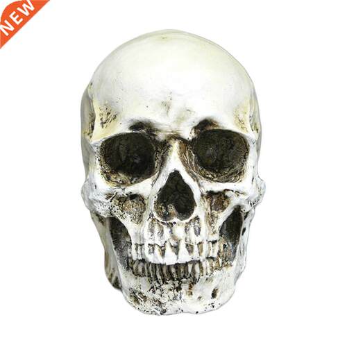 Halloween collection high simulation human skull model