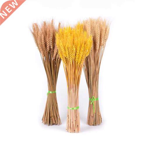 50Pcs Real Wheat Natural Dried Flowers Wedding Party Decorat