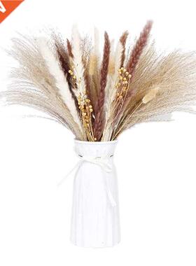 Pappas Grass Plums,Fluffy Pappas Grass Plant Branches,Tusk A