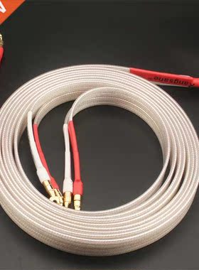 Audiophile Speaker Cable OCC Silver Plated HiFi Audio Cables