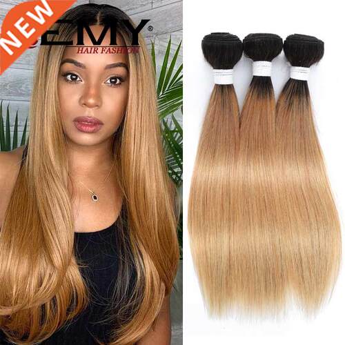 Brazilian Straight Human Hair Bundles Ombre Brown 1B 27 Colo