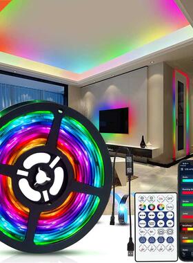 LED Strip Light RGBIC 2812B SMD 5050 Bluetooth Remote Rain