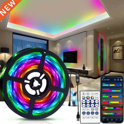 LED Strip Light RGBIC 2812B SMD 5050 Bluetooth Remote Rain