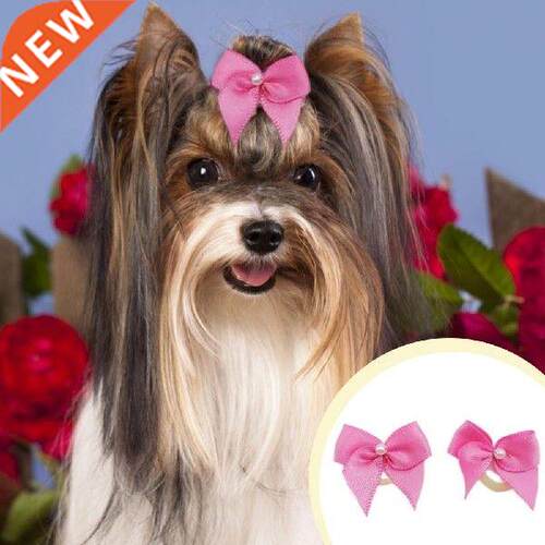 40%HOT 60Pcs/Set Pet Headband Reusable Eye-Catching 3D Cute