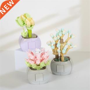 Jiaqi Succulent Building Blocks JK2710 Potted Assembled Smal