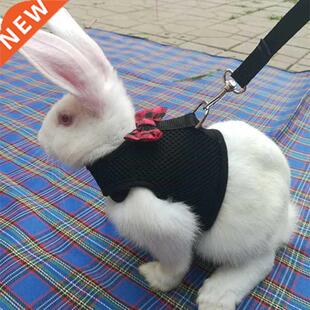 Rabbits Hamster Vest Harness With Leash Bunny Mesh Chest