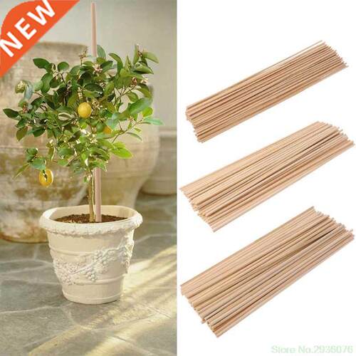 2019 New 50 Wooden Plant Grow Support Bamboo Plant Stcks Ga