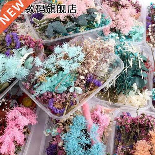 1 Box Real Mix Dried Flowers 适用于 Resin Jewellery Dry Plan