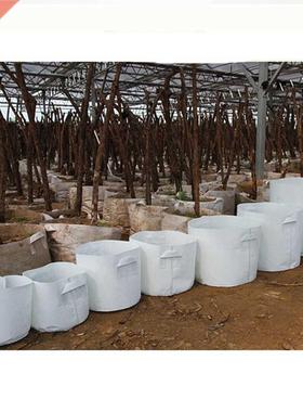 7 Sizes Round white Fabric Pots Plant Pouch Root Container G