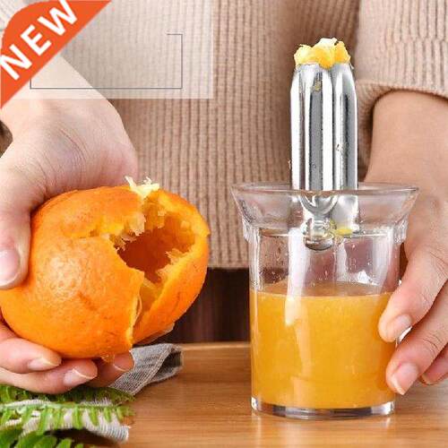 Mini Juicer Handhold Orange Lemon Juice Maker Stainless