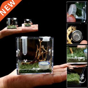 Small Reptiles Breeding Box Clear Acrylic Cage Habitat
