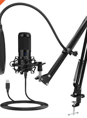 Metal USB Microphone Condenser Recording Microphone D80 Mic