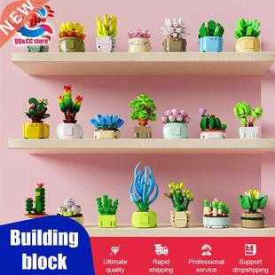 Mystery Box Building Blocks Flower Granul Fleshy Potted Ch