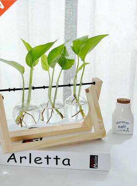 Terrarium Creative Hydroponic Plant Transparent Vase Wooden