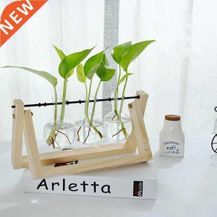 Terrarium Creative Hydroponic Plant Transparent Vase Wooden