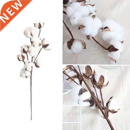 Simulation Flower Realistic Exquisite Dried Cotton