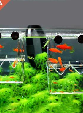 Acrylic Fish Tank Breeding Isolation Box Aquarium Hatchery I
