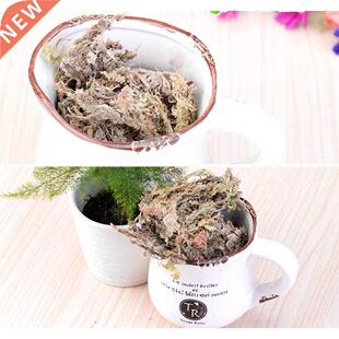 6L Sphagnum Moss Moisturizing Nutrition Organic Fertilizer