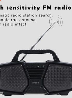 Bluetooth Speaker Portable Audio Subwoofer built-in HD Mic C