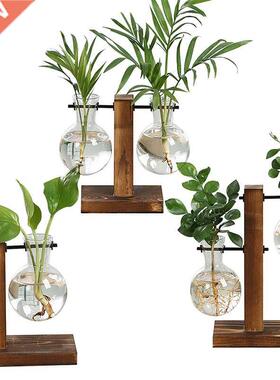 Transparent Vase Plant Wooden Frame Water Planting Flower Po