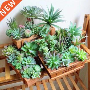 Home Garden Decoration Green Artificial Succulents Plants