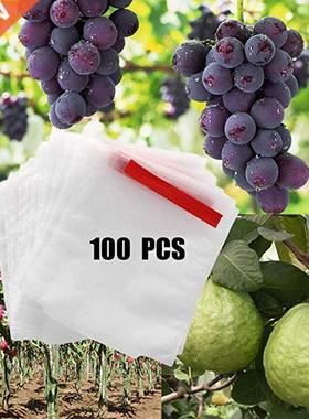Garden supplies 100pcs Fruit Bagging Bird-proof Bag