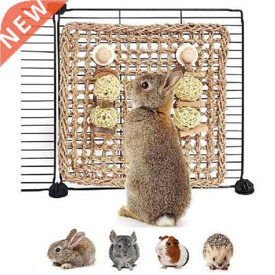 New Guinea Pig Toys, Hamster Toys Sian,Rabbit Boredom