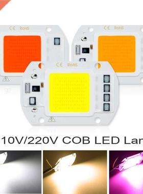 COB LED Lmp CHIP 220V 110V LED Bulb 10W 20W 30W 50W IP65 Sm