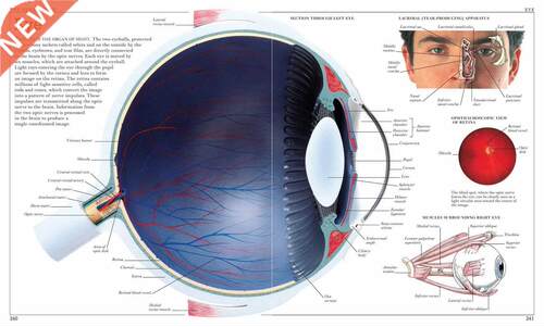 Vintage Human Anatomy Encyclopedia Poster Eye Classic Canva