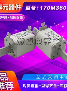 170M3531 170M3532 170M3533 170M3534 170M3535伊顿巴斯曼熔断器