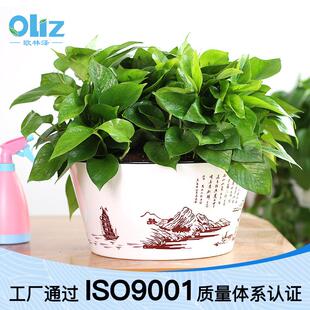 欧林泽花盆360绿萝植物创意搭配中国风图案白色塑料懒人花盆