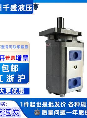 CB-KP40/32/ 徐工吊车 三一吊车 中联吊车双联齿轮泵 左旋平键QY8