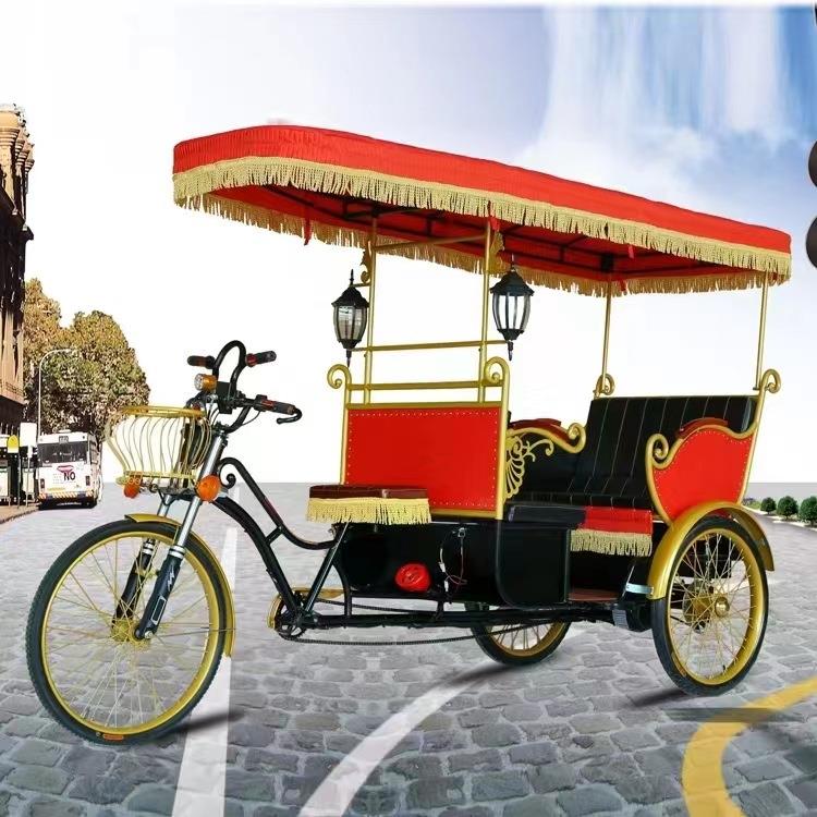 观光拉客旅游脚踏三轮车观光三轮车 旅游景点拉客车