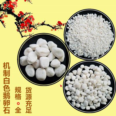 源头工厂自供 3-5cm白色鹅卵石 园林铺面白石子 园艺白石米 砾石