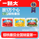 红黄绿宝石樱桃番茄新鲜自然熟生吃老味道水果小西红柿 一颗大