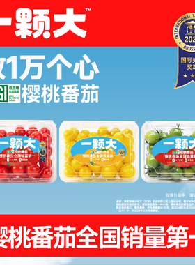 【一颗大】红黄绿宝石樱桃番茄新鲜自然熟生吃老味道水果小西红柿