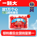 盒 一颗大 红宝石樱桃番茄新鲜自然熟生吃散粒小西红柿458g