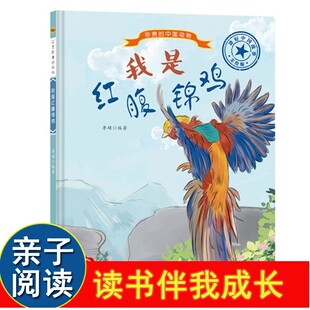 我是红腹锦鸡 珍贵的中国动物系列绘本 6-12岁儿童睡前亲子共读动物故事书精装硬壳彩图珍稀动物图鉴绘本幼儿园启蒙科普图画故事书
