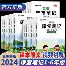 2024课堂笔记一二三四五六年级上下册语文数学英语人教版小学同步课本教材全解读帮预习状元大七彩随堂黄冈学霸笔记本博小优金课标