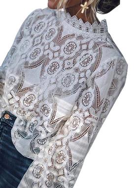 clothing elegant temperament -shirts neck crew lace color