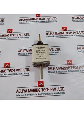 原装供应LK-Nes 171 A 6024 通用保险丝 250A 500V