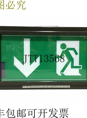 CEAG EX-Lite N（中性）紧急出口灯 277V AC 50Hz 250V DC IP66