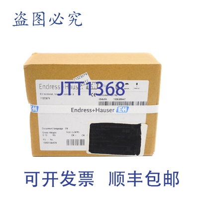 原装供应ENDRESS+HAUSER 71323079 NSFS