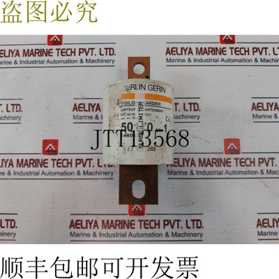 原装供应Merlin Gerin 50170 Vigilohm 浪涌限制器 Cardew 250V