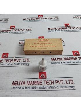 原装供应乐透迪 5X SIBA 10 005 04 保险丝 6a 500v