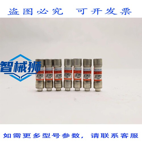 原装供应 FERRAZ SHAWMUT 15安培延时保险丝 ATDR15 5个装