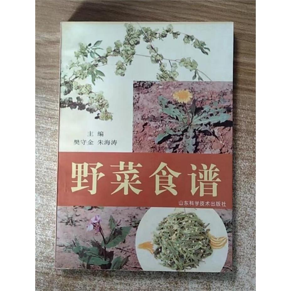 正版旧书 C野菜食谱1997年山东科学技术出版特色菜山菜蔬菜菜谱原版老旧书SX