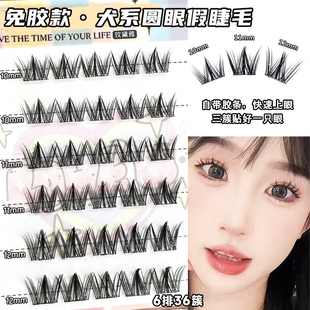 MissWink免胶犬系圆眼自粘假睫毛狗狗眼睫毛平度自然单簇分段式