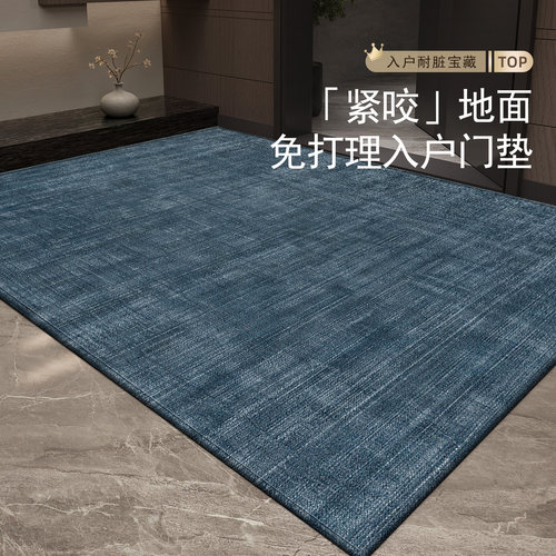 入户门地垫家用免洗耐脏玄关脚垫